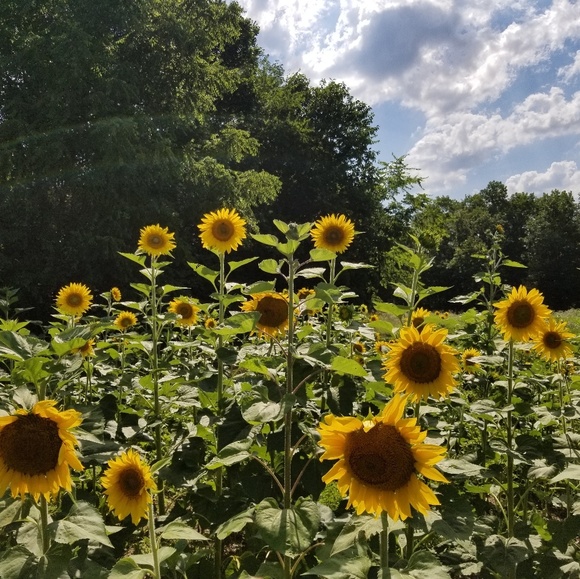 Meet your Posher, Mik - Picture 1 of 1